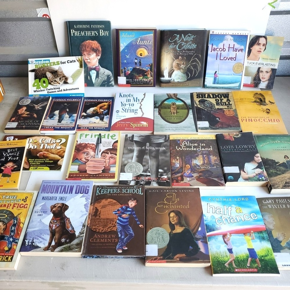 Homeschool Teacher Library Reading level 5 Readers Lot of 26 Books